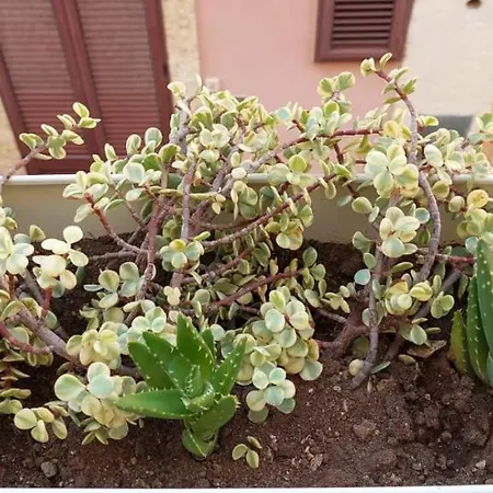 Apartment Maretto Brindisi